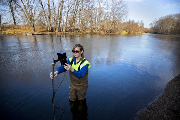 Sarah Jo Schmitz of the Sauk River Watershed District used a meter to track the river&#x2019;s flow south of St. Joseph, Minn.