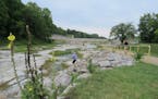 Devonian Fossil Gorge, a fossil bed exposed by 1993 flooding, offers clues to life 375 million years ago near present-day Iowa City.