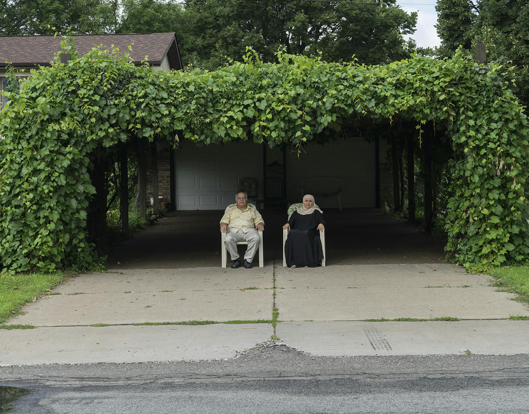 Image by Steve Ozone for "Interrupted Landscapes" exhibit at Form + Content.