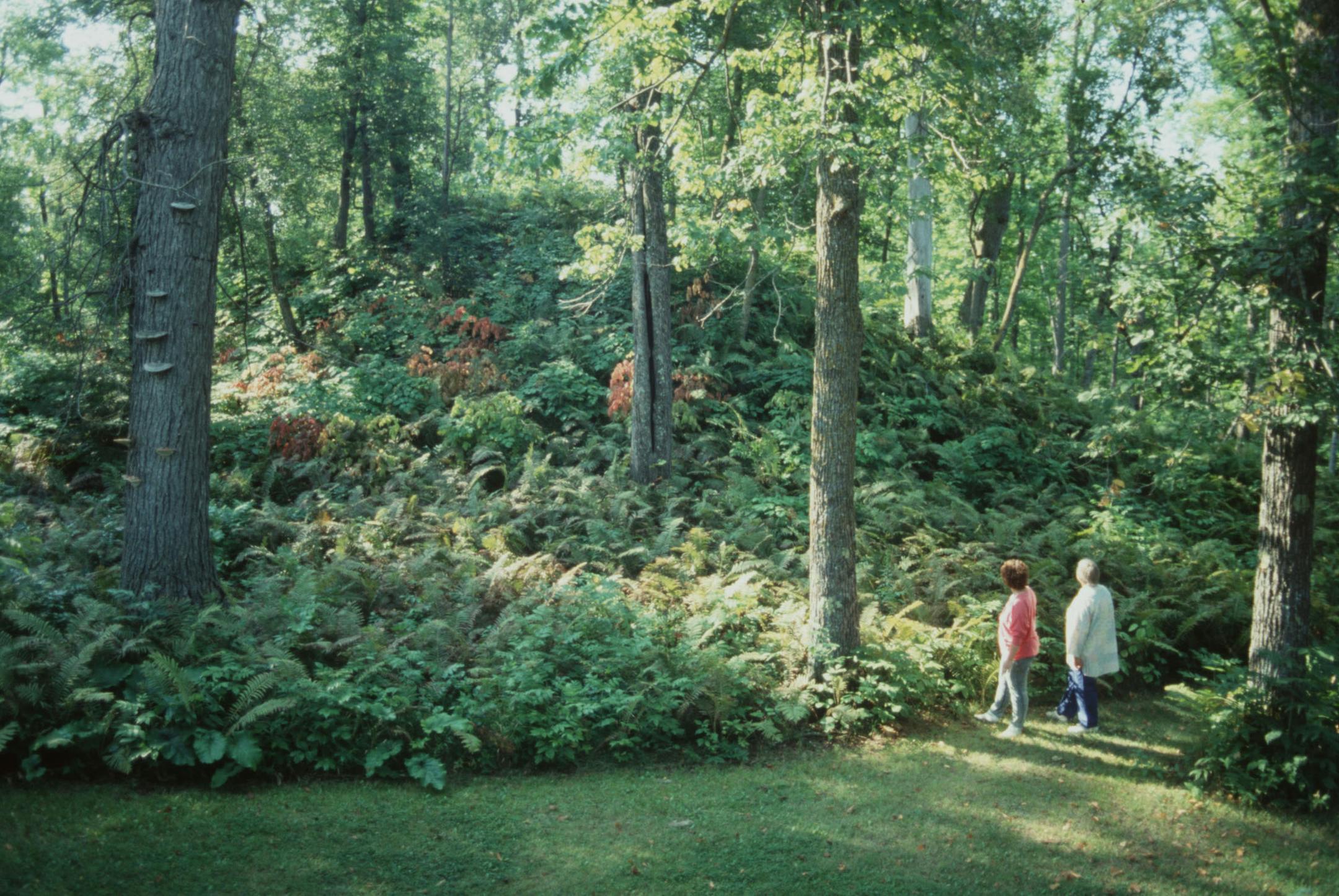 Grand Mound / photo possibility but did not run with Star Tribune travel writer Catherine Watson story Sunday April 19, 1998, about mounds in the earth which were once burial monuments or religious centers / Grand Mound is a Minnesota state historic site near International Falls. / 1991 photo by Catherine Watson. ORG XMIT: MIN2014100319094284