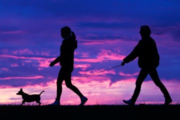 A man and woman walk their dog along a path at sunset.