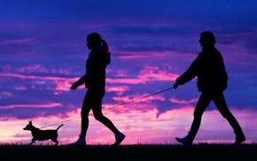 A man and woman walk their dog along a path at sunset.