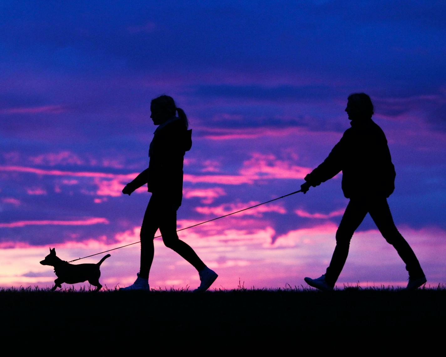 A man and woman walk their dog along a path at sunset.