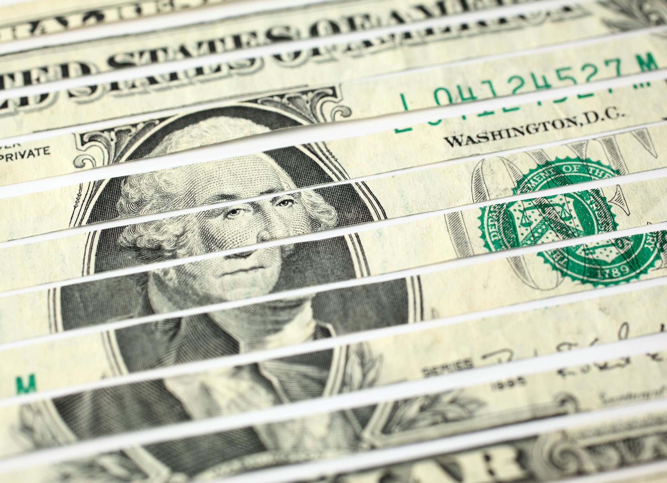 Close-up of shredded US one dollar bill.