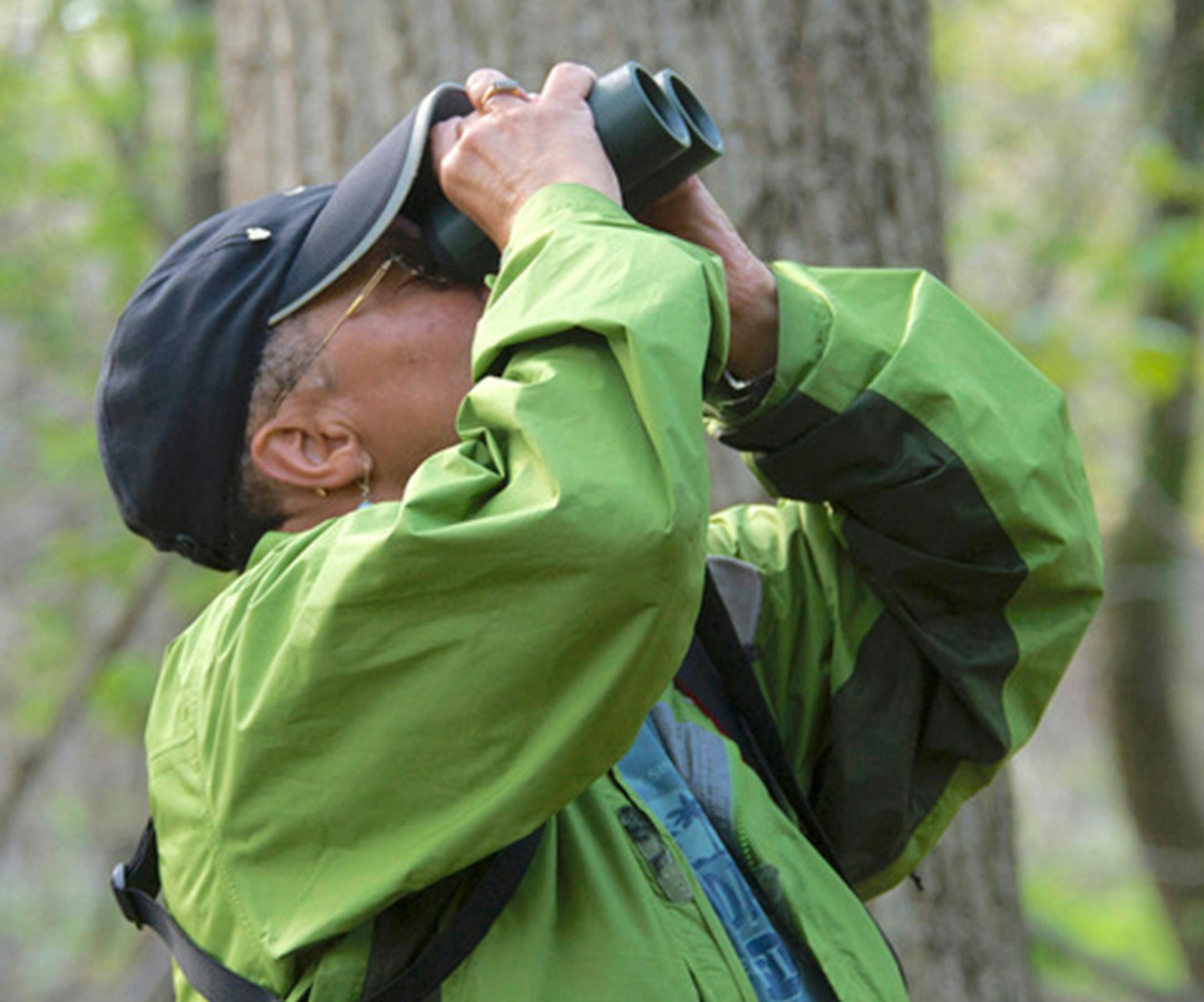 Look up and you'll see reminders that life goes on.