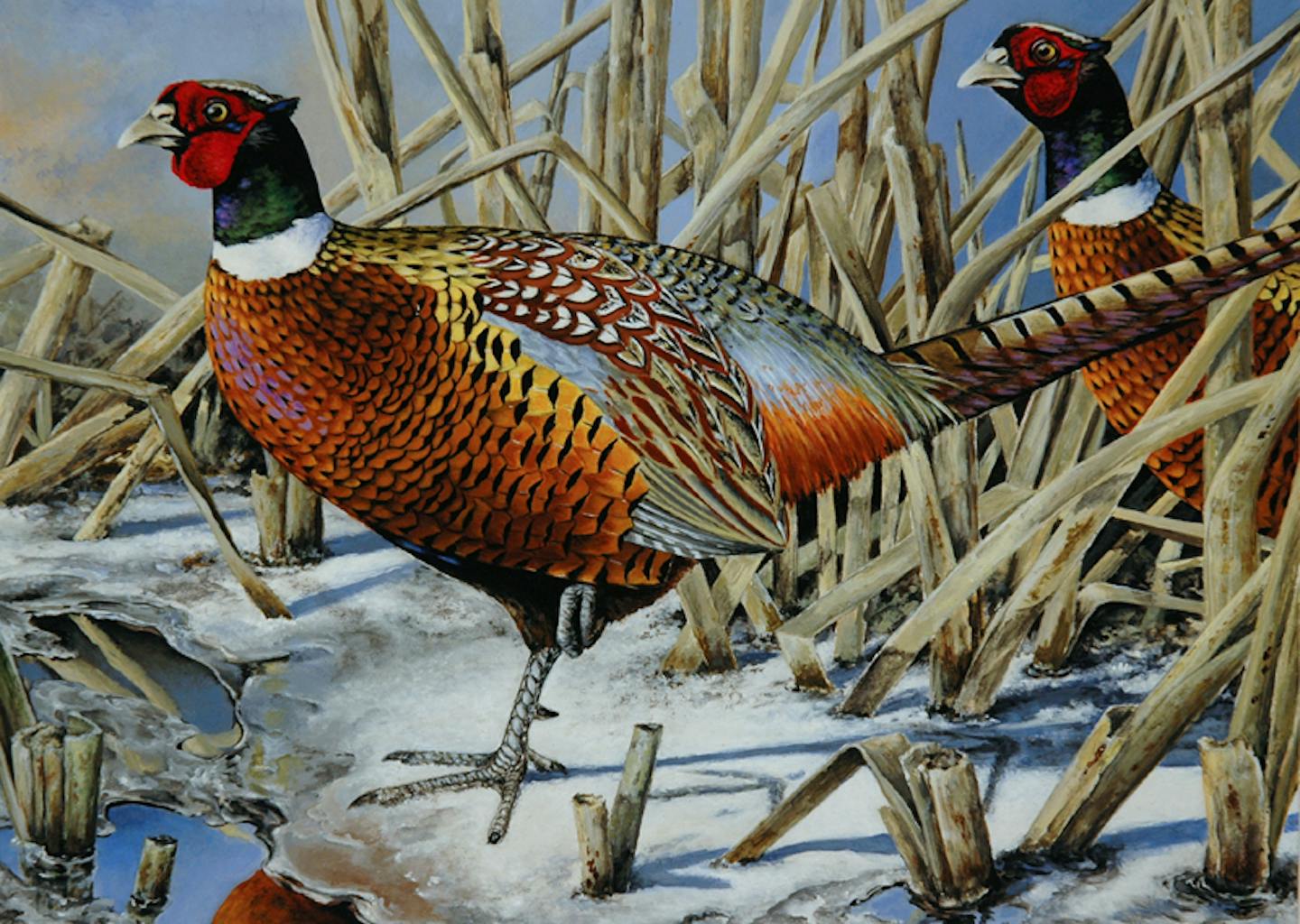 Hutchinson painter wins state pheasant stamp contest