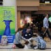 Pal, a 2-year-old Cavalier King Charles Spaniel owned by Chris Nelson greeted Ryah and Grayson Cotton of Savage as they waited for their flight to Haw