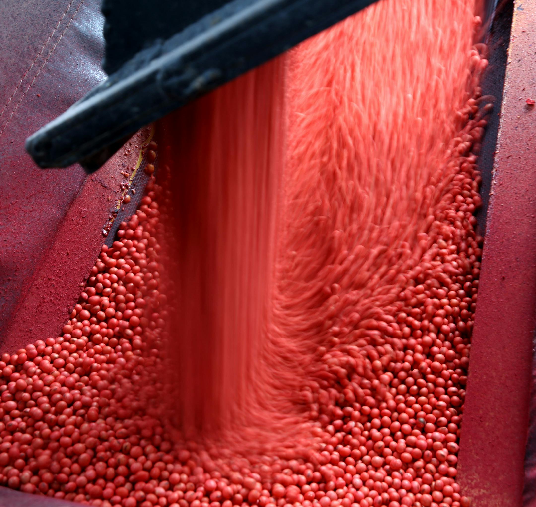 Soybeans shouldn’t be as unprofitable as corn, but farmers will still lose money because of high production costs.