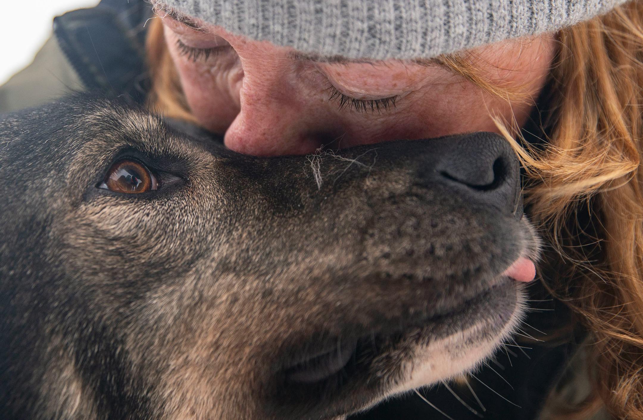 Colleen Wallin cuddled up with one of her dogs, Rut, after vet checks at Proctor Arena on Saturday.