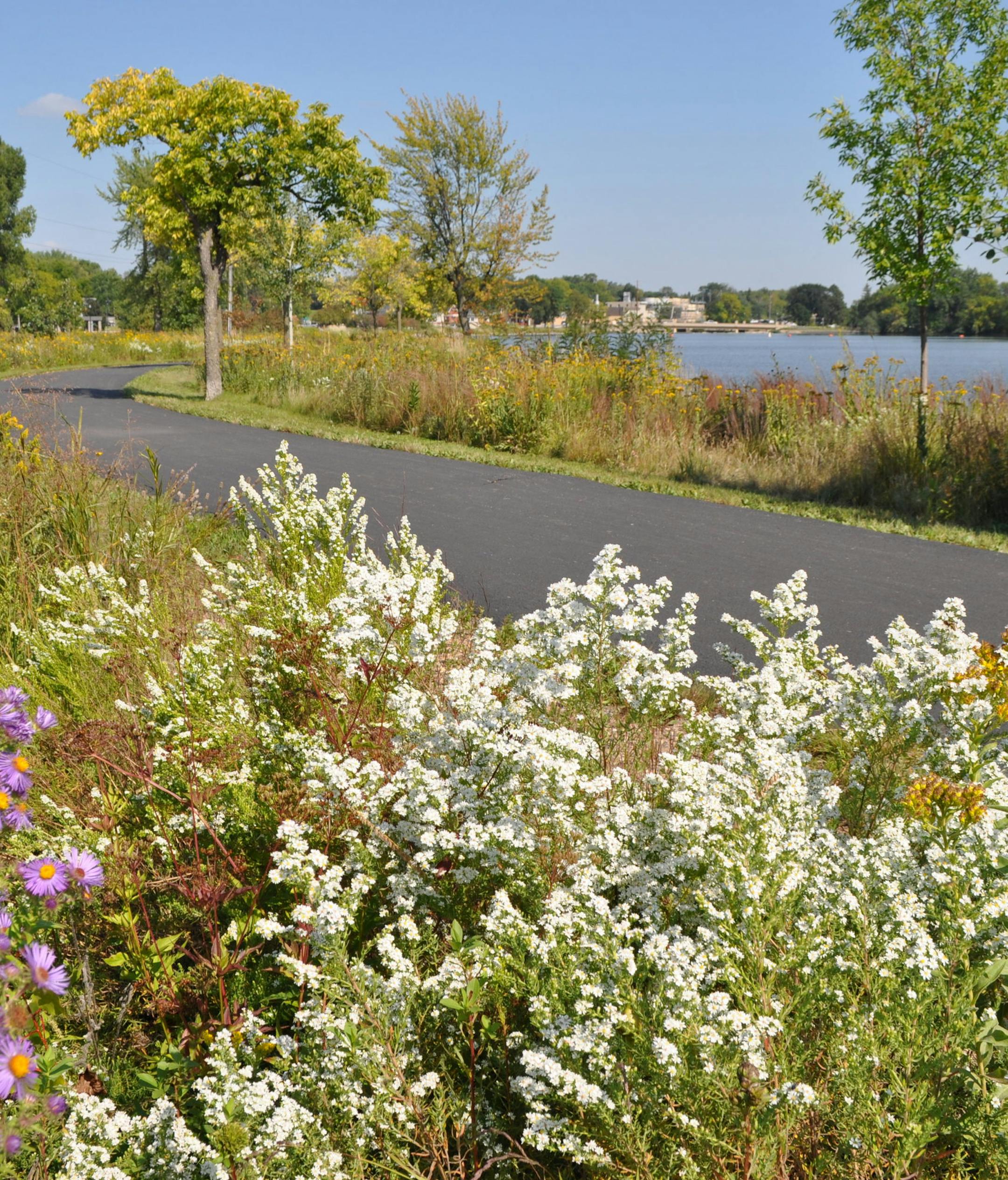 Provided by Minnesota DNR. Luce Line State Trail.
