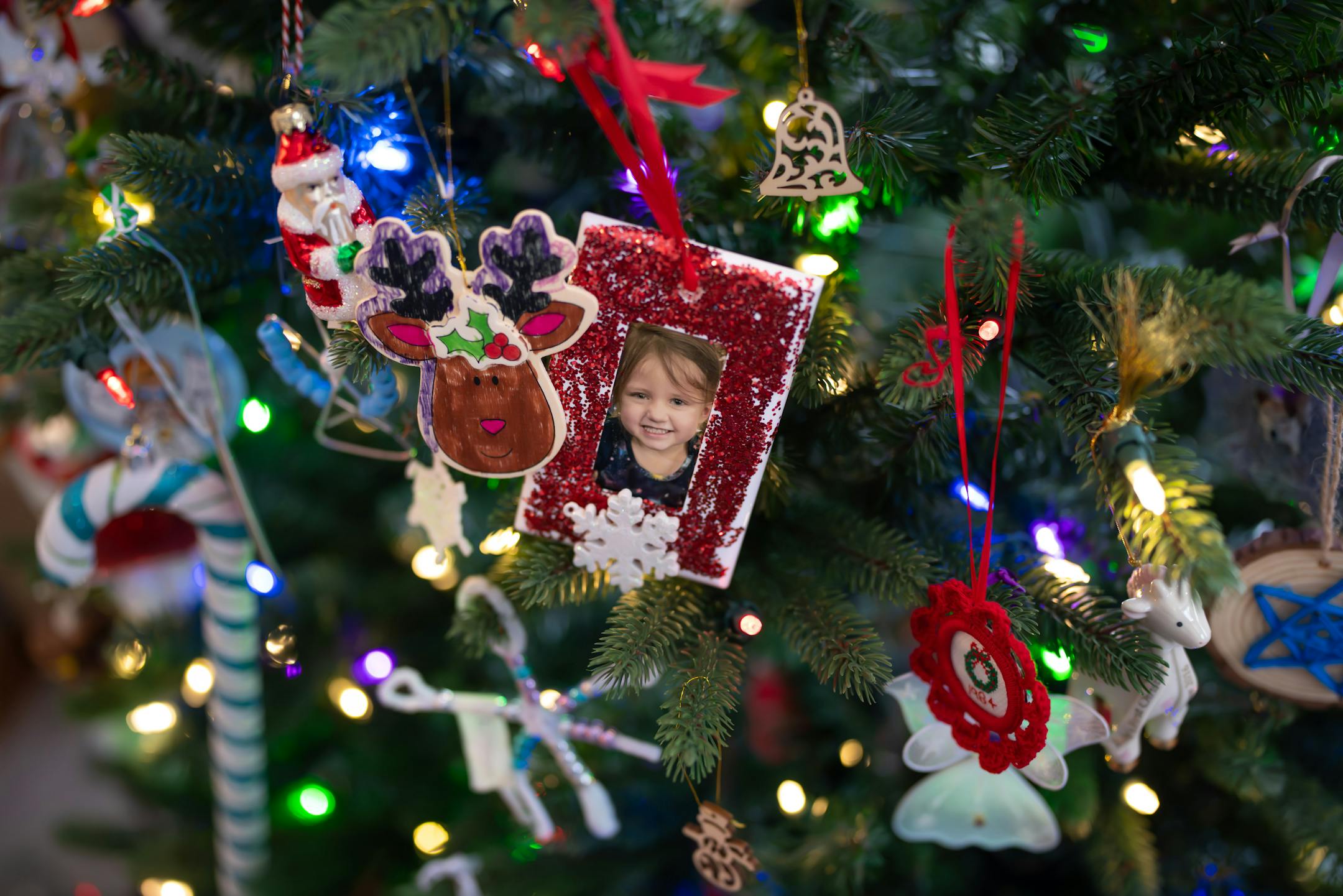 Handmade ornaments, including a photo of Ellie from a few years ago, decorate the Johnson Family Christmas tree.
Kenyon, Minn., Wednesday December 10, 2025 


Glen Stubbe for The Minnesota Star Tribune