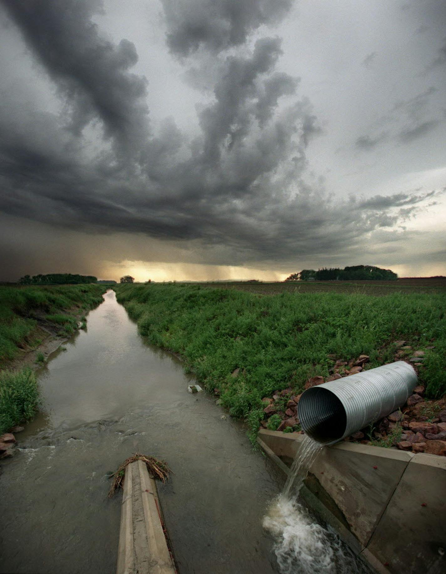 The Middle Branch of the Rush River, part of the Minnesota River basin, was once a healthy, balanced ecosystem, but now functions like an overloaded and unstable drainage ditch for farms and a toilet for rural Minnesota.