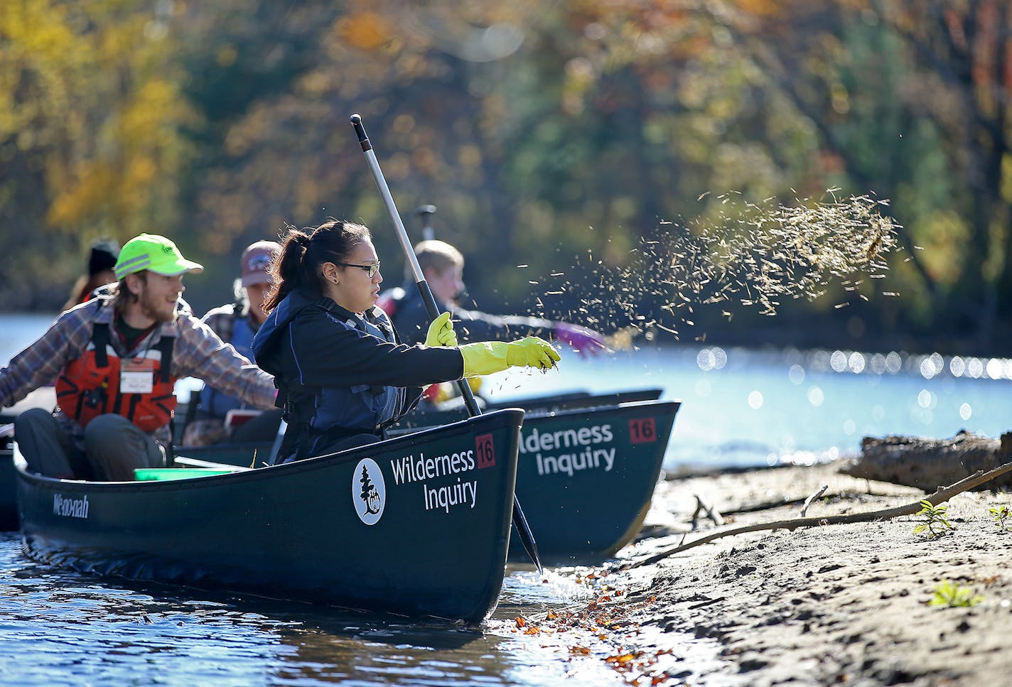 Leann Eagle Tail threw wild rice seeds along the Rum River near Cambridge this week. Eagle Tail joined classmates from Takoda Prep and guides from two nonprofits to spread the seeds along the banks. The river was once a wild rice haven, and efforts to restore the plant are beginning to take hold.