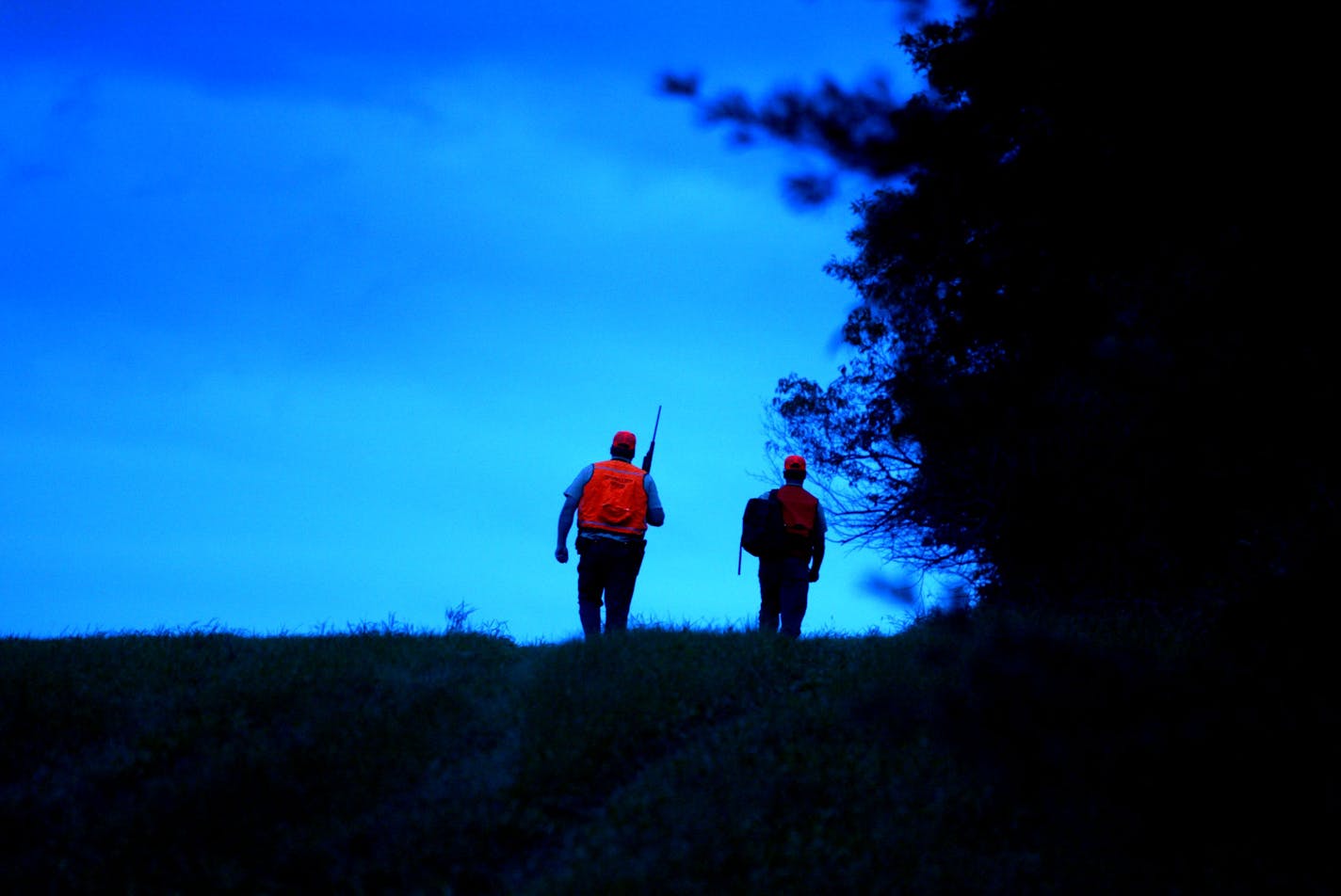 Aitkin, MN 9/9/2002 As dusk rolled over the Aitkin County landscape monday evening, DNR Conservation Officer Greg Verkulen (Left) of Garrison and Spotter Tim Marion, an assistant Wildlife Manager from Cambridge, walk a tree line in search of deer just south of the Clayton Lueck Elk farm where Minnesota's first case of Chronic Wasting Disease was found. Teams of DNR sharpshooters fanned out across a 9 square mile area south of Aitkin hoping to kill at least 100 deer over the next few weeks and test them for CWD. ORG XMIT: MIN2017090514560824