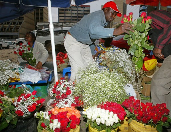 A roadside flower vendor in Nairobi, Kenya, offered roses just before Valentine's Day 2006. This year, however, ethnic violence has reduced the number