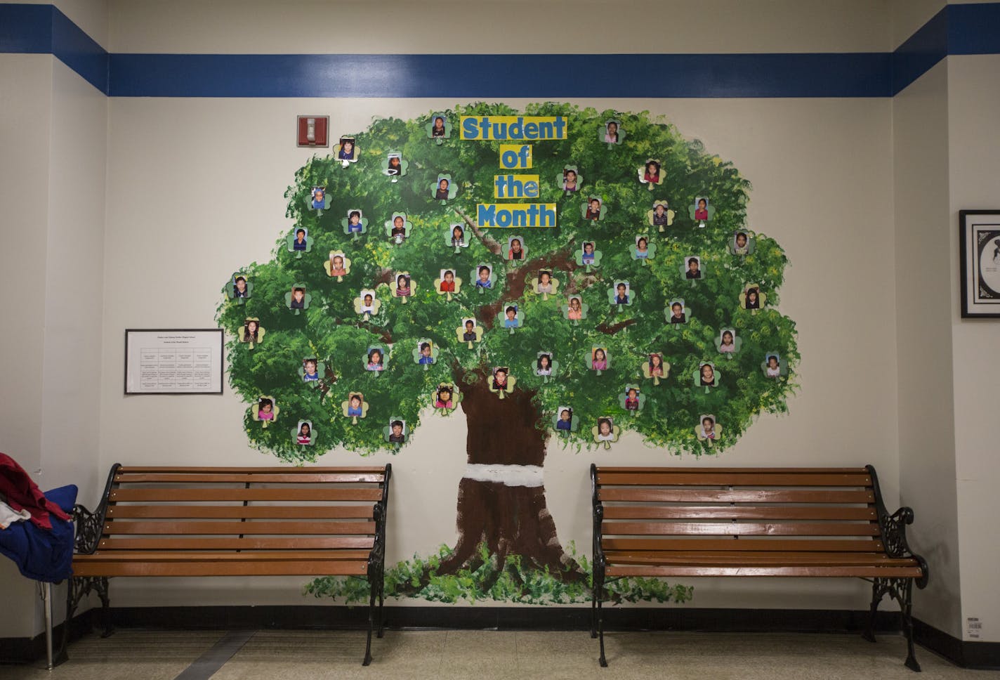 A student of the month tree at Phalen Lake Hmong Studies Magnet on Friday, March 11, 2016, in St. Paul, Minn. ] RENEE JONES SCHNEIDER &#xa5; reneejones@startribune.com