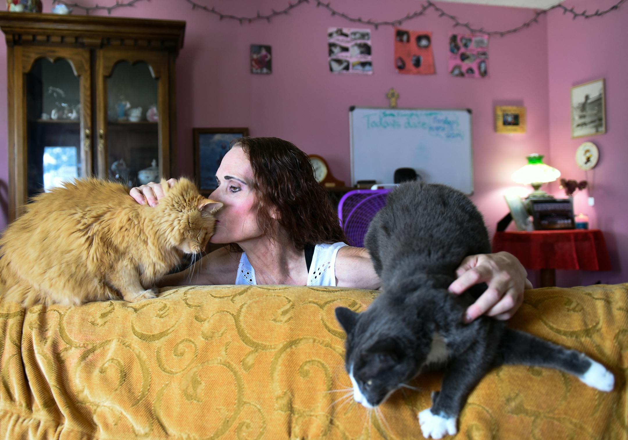 Kimberly Jameson gave some attention to two of her cats, Spooky, left, and Cleo, in Jameson's home Friday. ] AARON LAVINSKY &#xef; aaron.lavinsky@startribune.com The plaque on the wall of Kimberly Jameson's kitchen reads, "Cats are like potato chips ... you can't have just one!"
Never was a saying more apt. Jameson and this Freeborn County city of 315 residents are engaged in a bitter battle over her household of cats. Jameson admits she's had as many as 20 cats living with her; city officials s