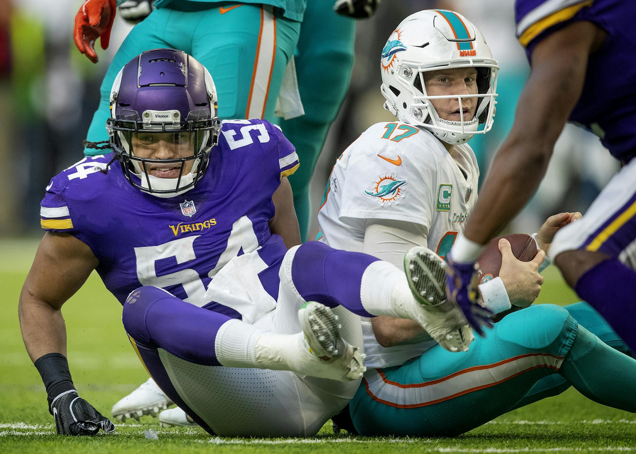 Eric Kendricks sacked Ryan Tannehill in the third quarter. ] CARLOS GONZALEZ • cgonzalez@startribune.com – Minneapolis, MN – December 16, 2018, US Bank Stadium, NFL, Minnesota Vikings vs. Miami Dolphins