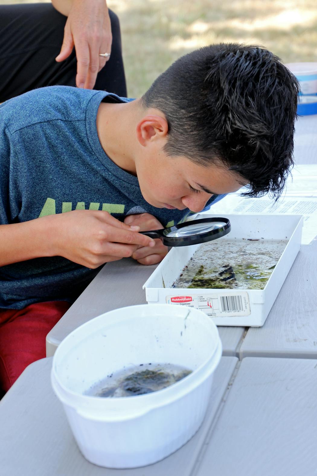 Kids also get on-shore lessons that teach them about water quality and bugs.