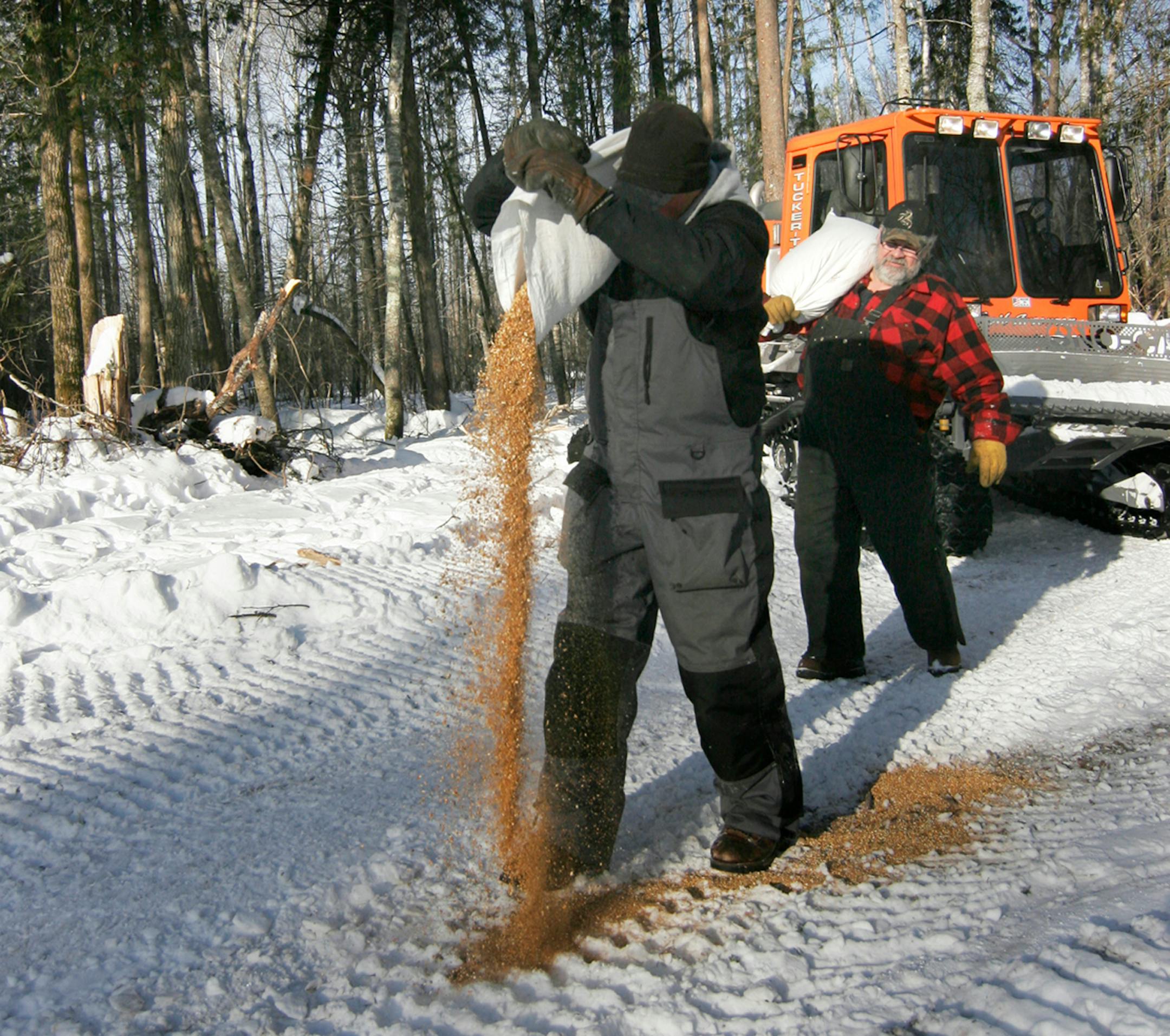 Dan Guida of rural McGregor poured deer food on a plowed logging trail in a patch of state land heavily used by deer. Guida is a member of the local Minnesota Deer Hunters Association. With him is Wayne Bobendrier of the Tamarack Sno Flyers snowmobile club, who used the club's trail groomer to clear a spot for the food.