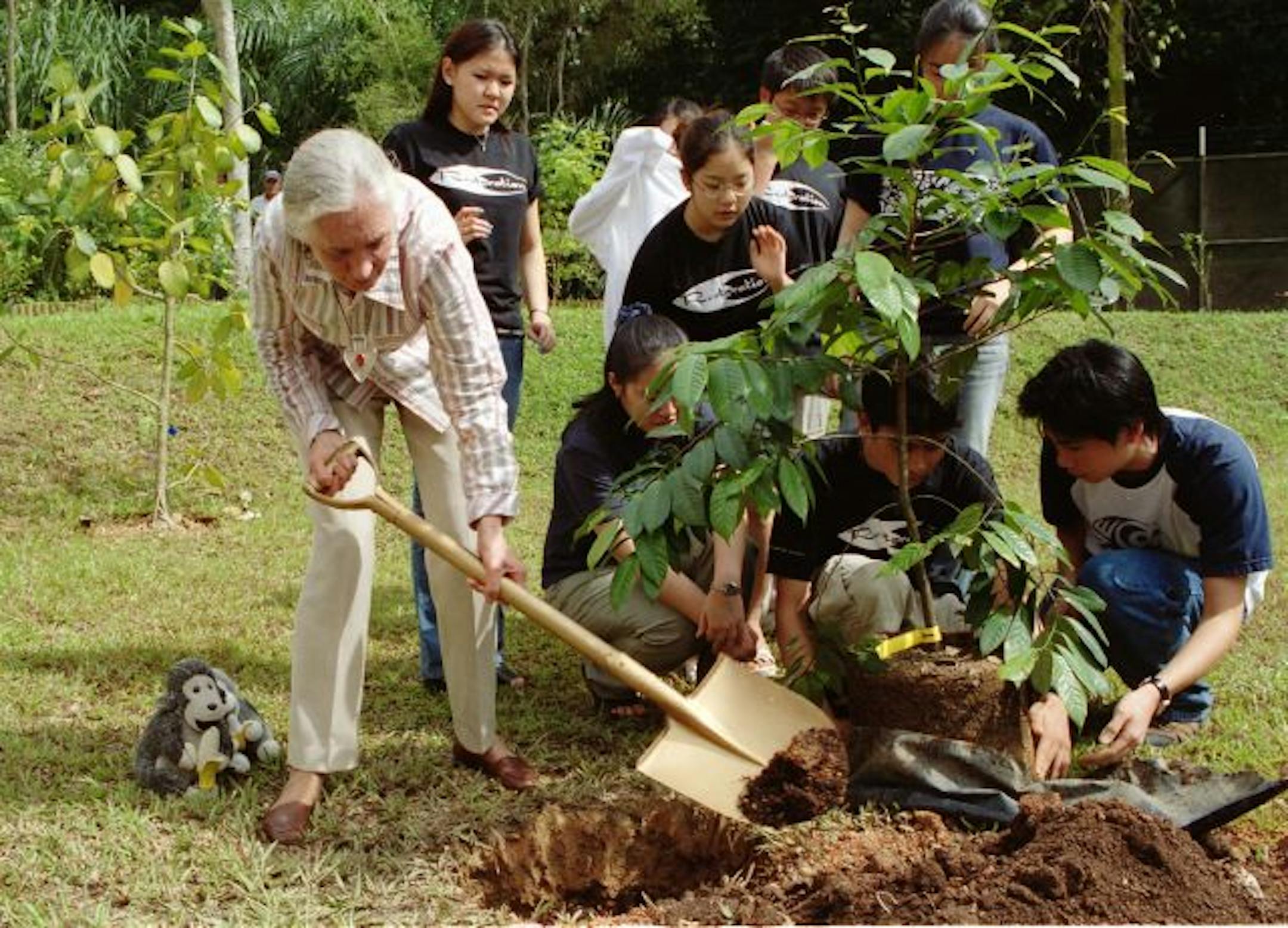 Dr. Jane Goodall and Roots & Shoots members plant trees at the Shanghai Zoo in China.