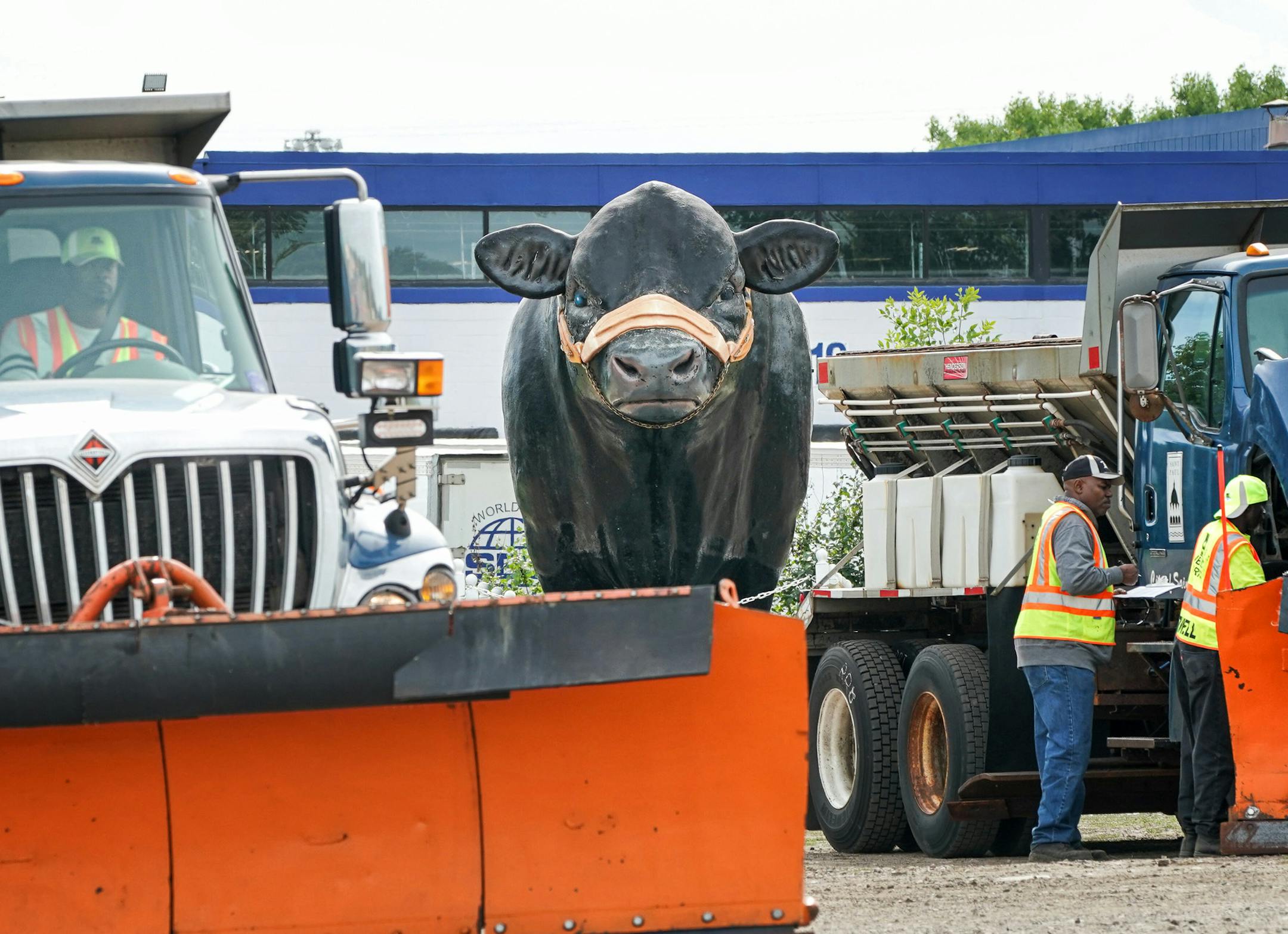 The Minnesota Beef Expo steer looked out disapprovingly at the snow plows in his parking lot. He is a fixture at the State Fair across the street which will also be used for the Minnesota Beef Expo to be held at the State Fairgrounds October 17-20. Minneapolis, Ramsey County and Hennepin County practiced complicated snow plow maneuvers in the parking lot adjacent to the Minnesota State Fair nicknamed the Roadeo by drivers. ] GLEN STUBBE &#x2022; glen.stubbe@startribune.com Thursday, September 26