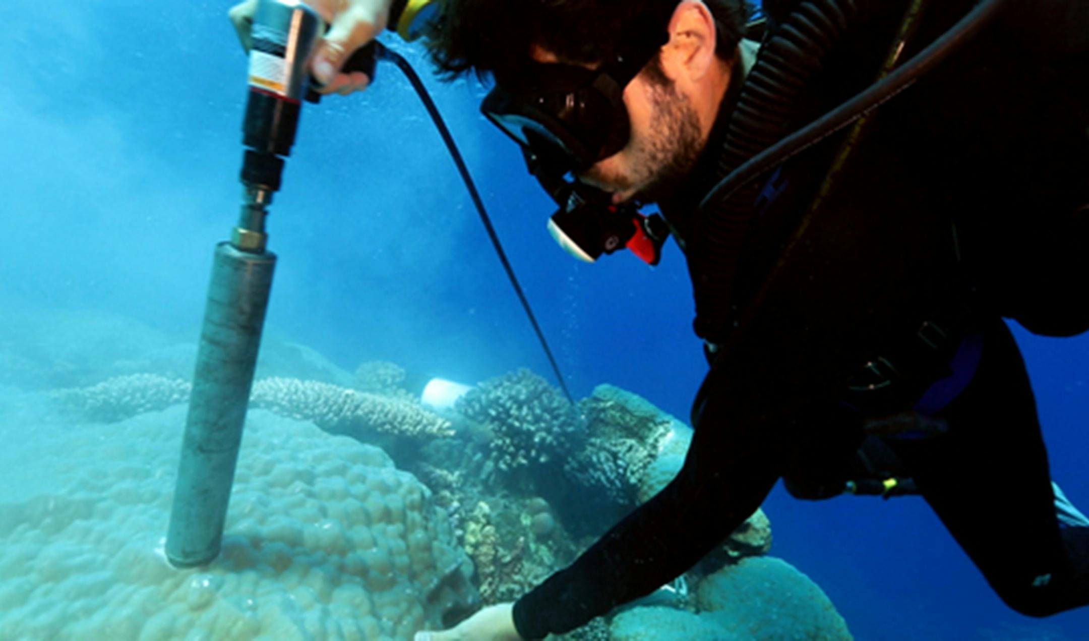 NOAA biologist Ian Enochs takes a core sample from coral near the Maug Islands where he found ocean acidity at levels projected for the next century. (Stephani Gordon/Open Boat Films/National Oceanic and Atmospheric Administration/TNS)
