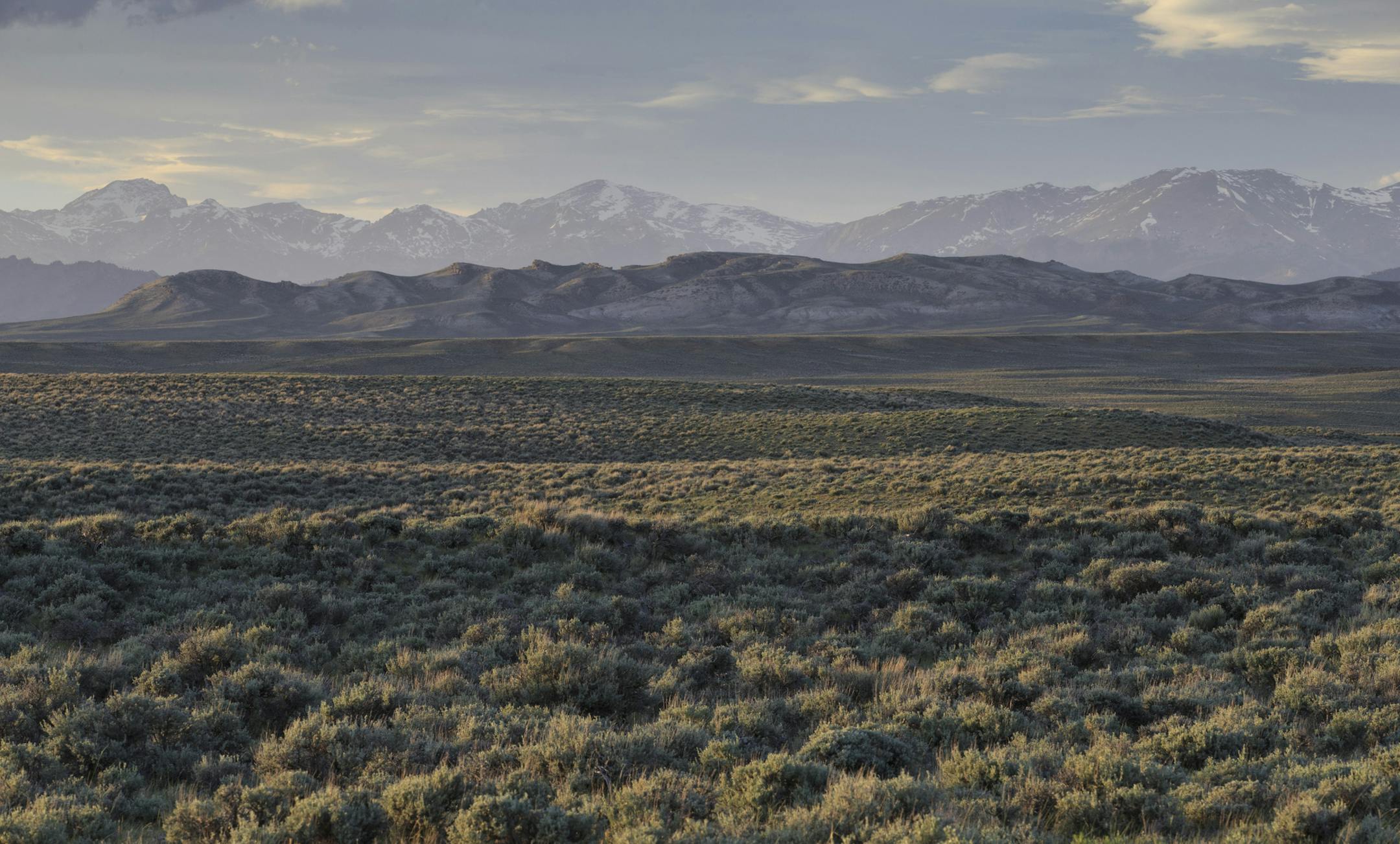 An expanse of the sagebrush steppe rolls toward sandstone foothills and snow-capped peaks in an intermountain basin in Nature's "The Sagebrush Sea." Credit: Provided by Gerrit Vyn/ &#xa9; Cornell Lab of Ornithology