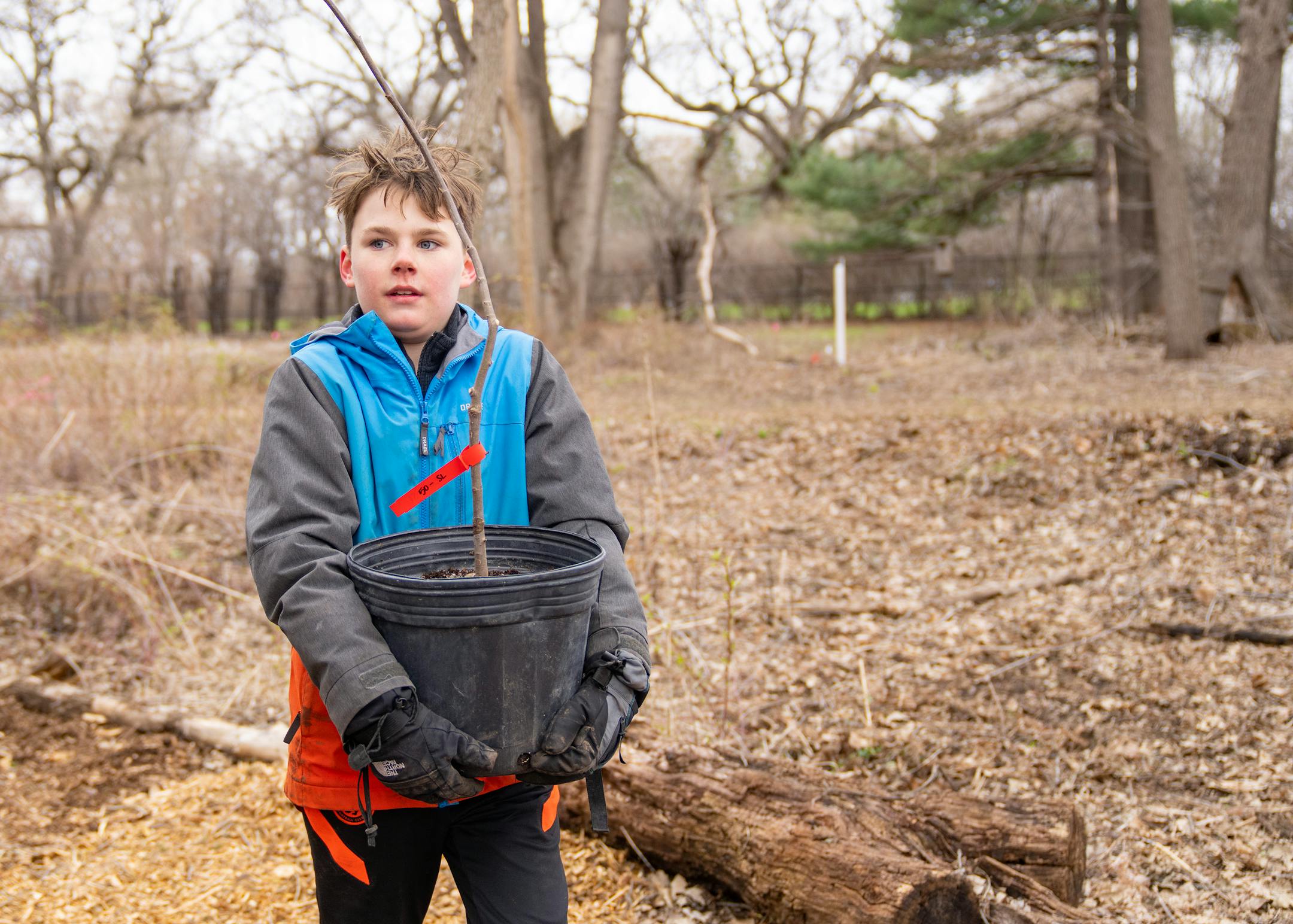 Simon Meek carries an elm tree to be planted as part of a tree planting event Saturday, April 22, 2023, on a Nature Hiking Trail leading to the Minnesota River in Bloomington.