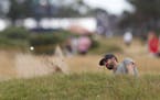 Former Gophers golfer Erik Van Rooyen of South Africa played out of a bunker on the ninth hole during the final round of the British Open in Carnousti