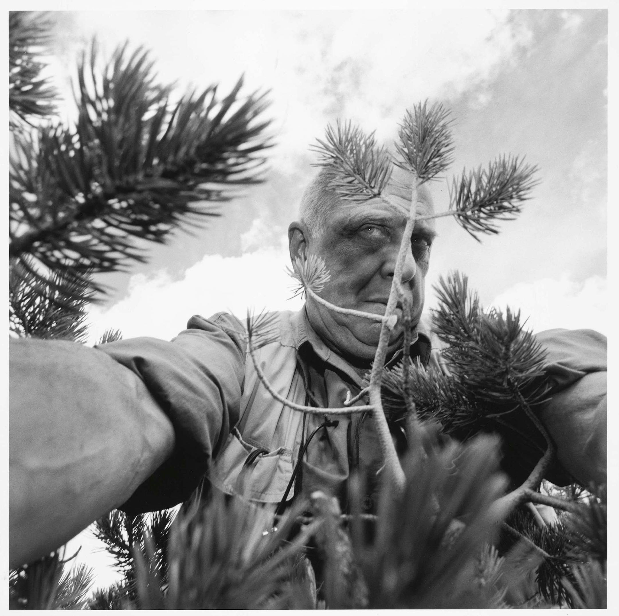 Lee Friedlander's often droll self-portraits include this one taken in 1997 among greenery.