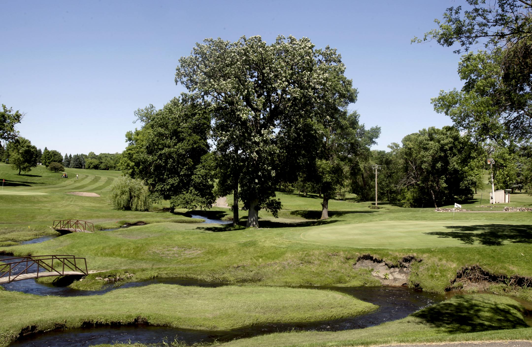 Jake Wallace is a developer who recently bought the Elm Creek Golf Course in Plymouth, and he plans to convert it into the city's latest housing development. June 27, 2013. ] JOELKOYAMA&#x201a;&#xc4;&#xa2;joel koyama@startribune.com