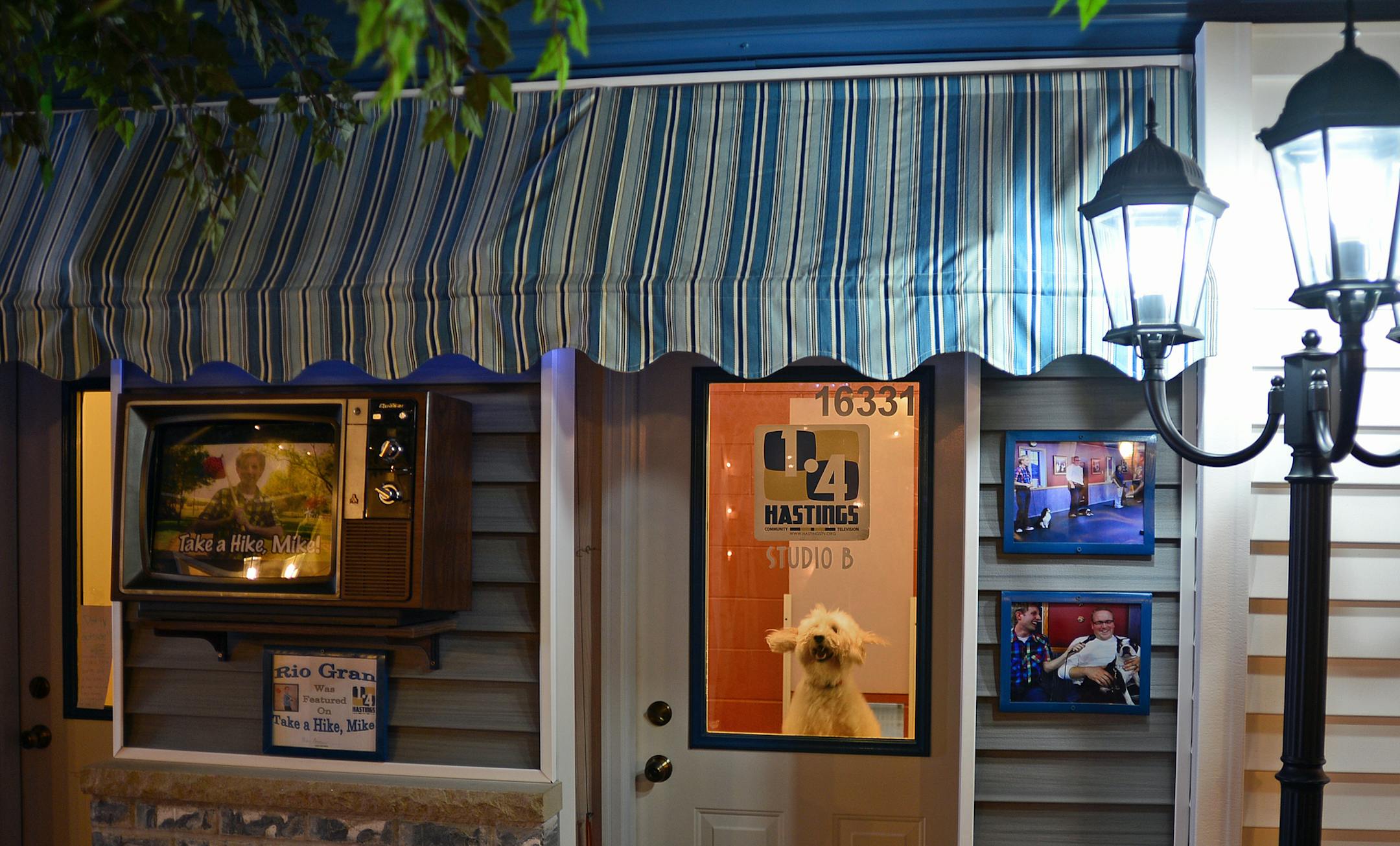 Rio Gran Enterprises is a "city-themed" dog boarding facility that's meant to look like Hastings and has a faux Main Street lined with park benches and (fake) trees. Each doggie suite has its own theme and storefront. This dog kept leaping to get a look at people passing by on Main St. Richard.Sennott@startribune.com Richard Sennott/Star Tribune Hastings Minn. Monday 12/30/13) ** (cq)