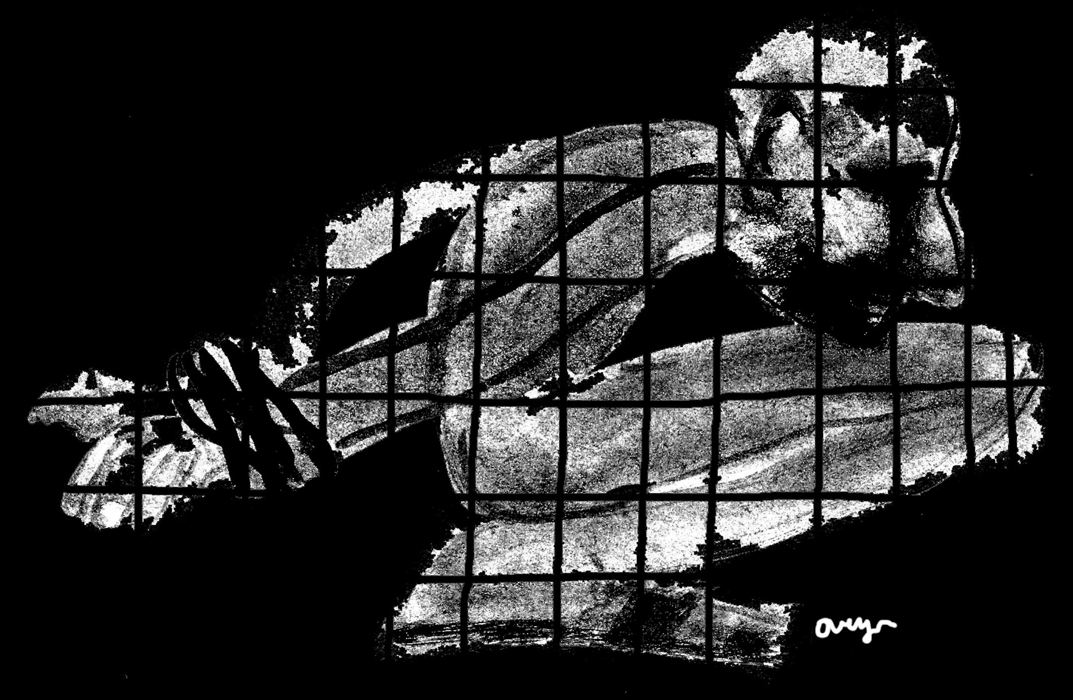 John Overmyer/NewsArt