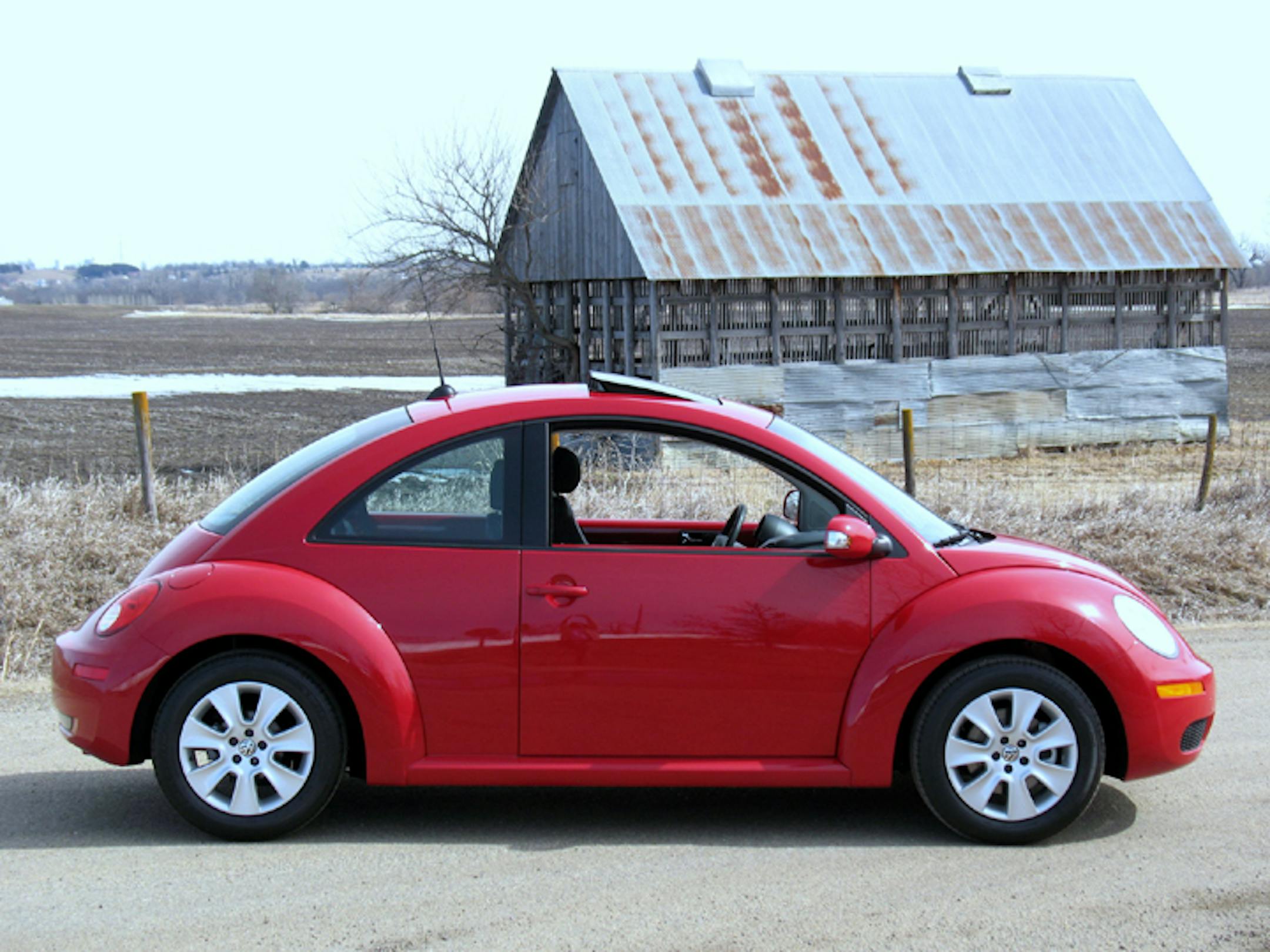 VW Beetle
