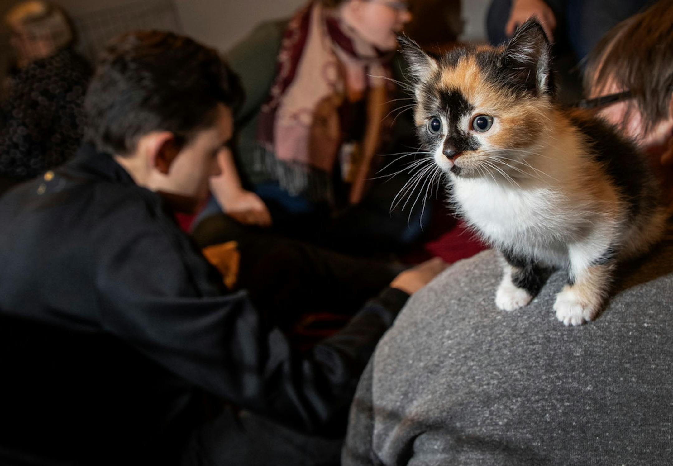 Piggybacking on Give to the Max Day offered the Bitty Kitty Brigade a chance to amplify its message and boost giving.