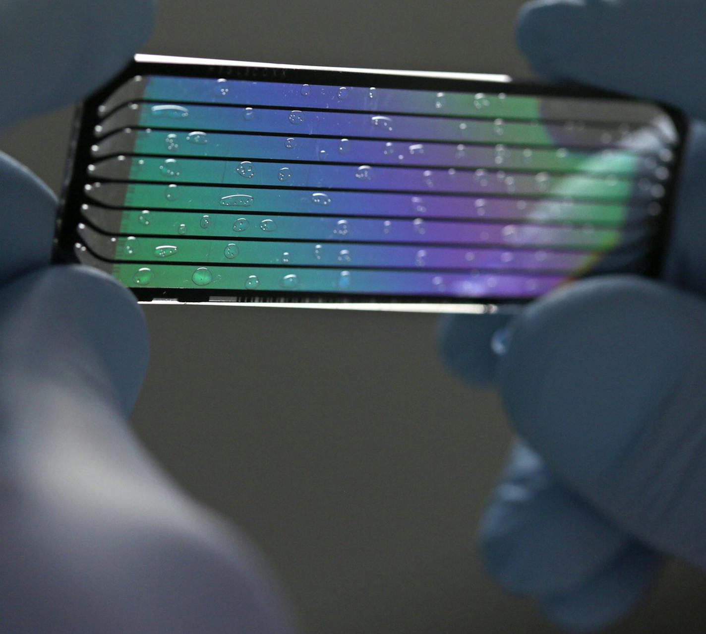 John D'Albora, 41, a senior research technician, holds up a used flow cell to display its intricacies at the Genome Institute at Washington University on Thursday, April 23, 2015. A flow cell holds the DNA for the sequencing machine. (Cristina Fletes-Boutte/St. Louis Post-Dispatch/TNS)