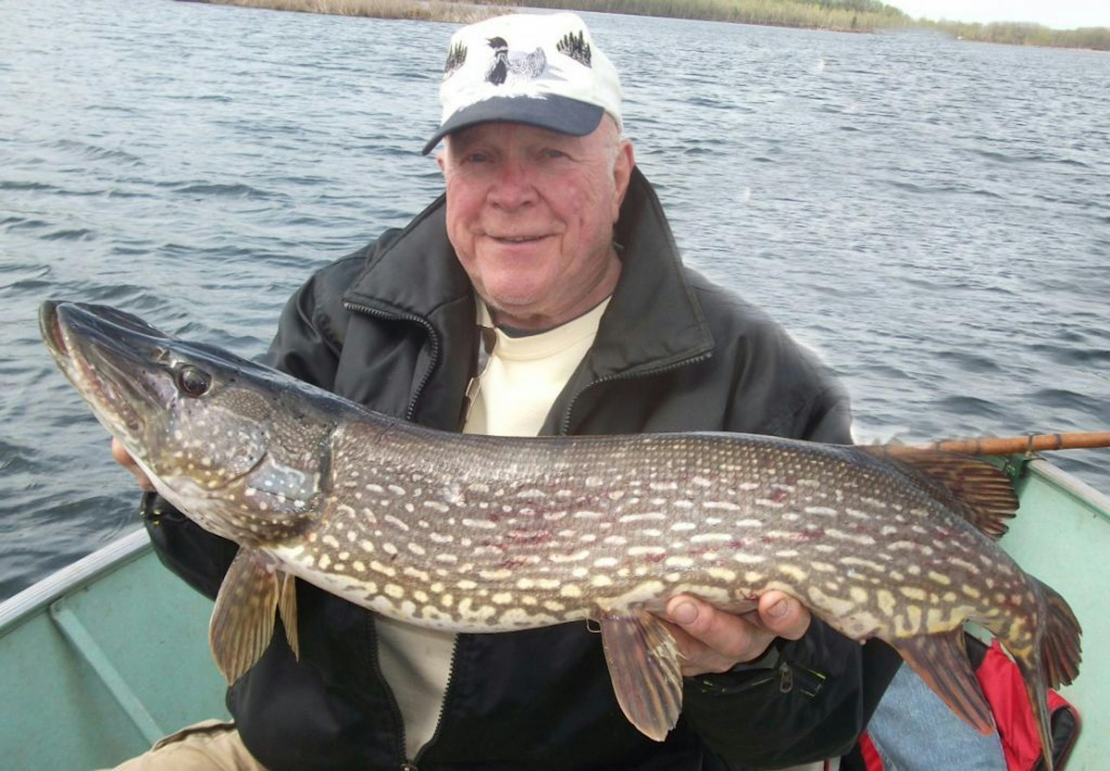 MINING GOLD � Ernie DeBoer of Minnetonka caught this 13 1/2-pound northern pike while fishing a Cuyuna mine pit lake near Crosby with family and friends, trolling with a cane pole and a bright orange lure. �The fish put up a good fight and gave him a run for his money,�� said daughter Denelle Jensen of Eden Prairie. He released it.
