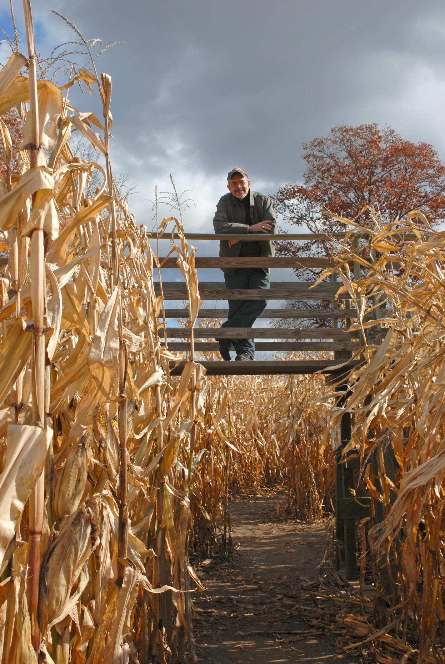 Lamb in a corn maze at Preston Farms in Preston, Ct. The maze is a significant theme in his new novel "The Hour I First Believed".