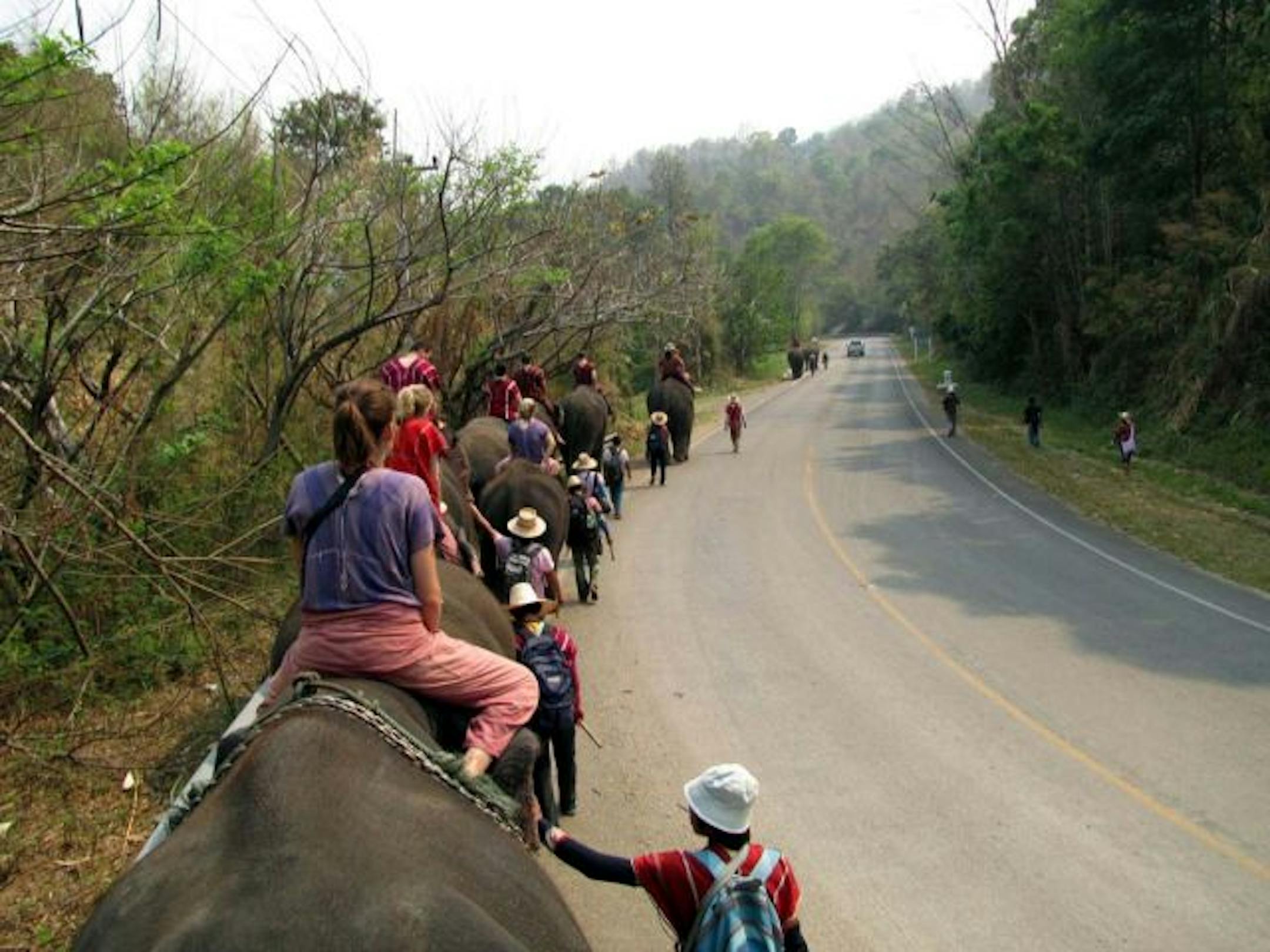 Visitors get a ride on the backs of elephants during a day at the Patara Elephant Farm in Chiang Mai, Thailand.
