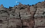 A helicopter pilot hovers his aircraft above an 800-foot cliff during the rescue of an injured hiker Saturday.