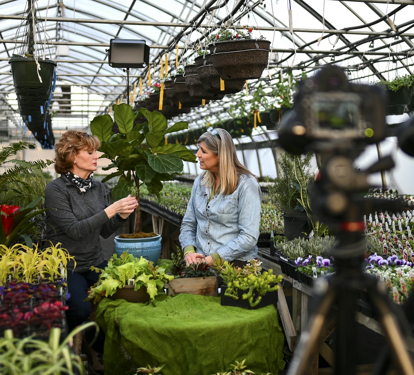 Pierce, left, hosted a live show with guest Heidi Heiland of Heidi's GrowHaus. They discussed planting herbs.