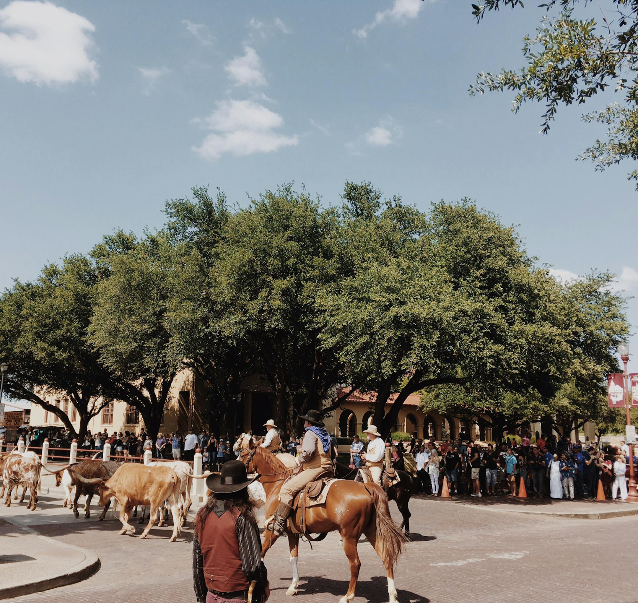 Roadtripping can stretch the limits of your trip ñ we likely wouldnít have stopped in Fort Worth if not for having a car. Photo by Amelia Rayno