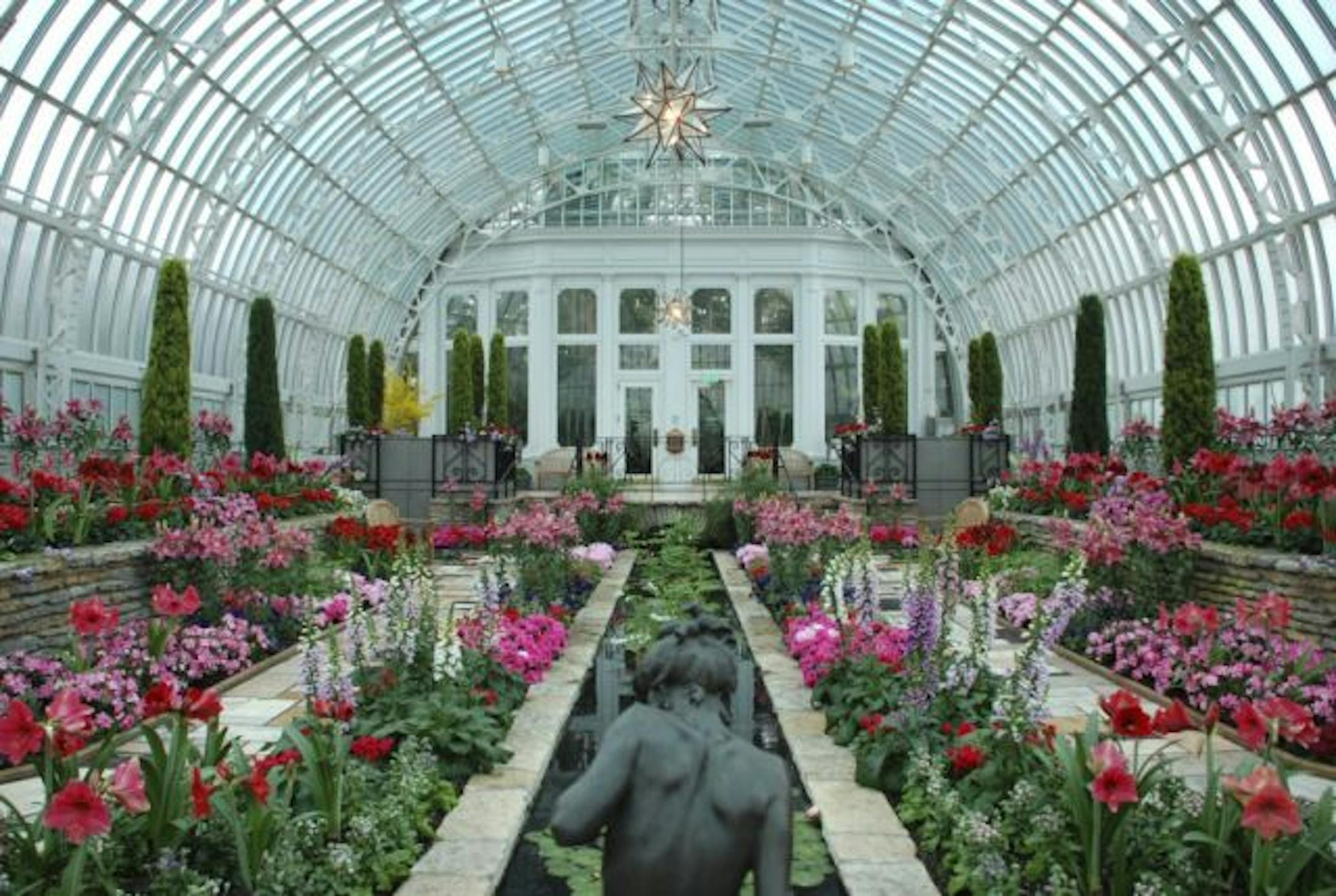 Catch the winter flower show at the conservatory in Como Park.