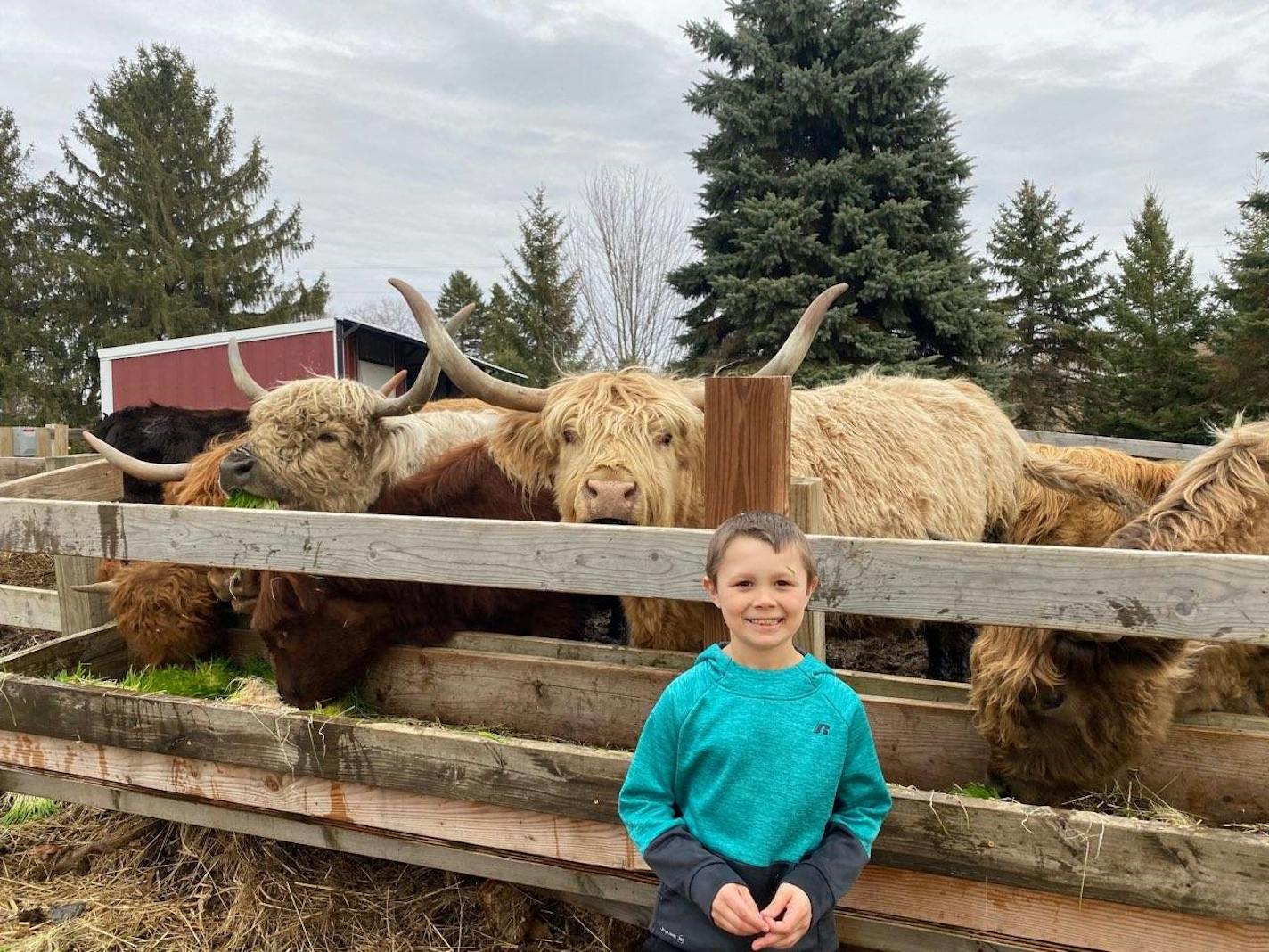 Marty Morneau on the farm.
Courtesy Justin Morneau