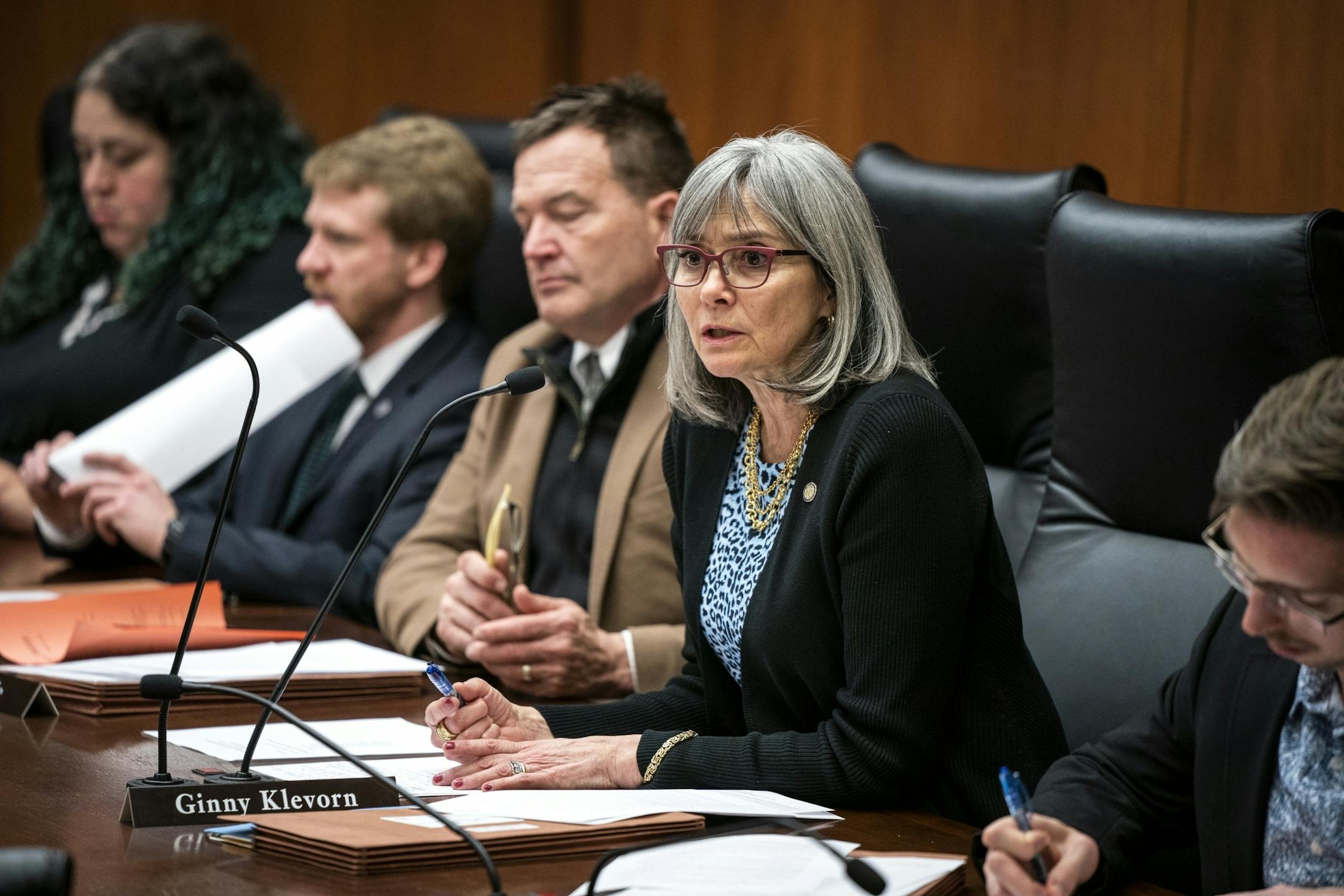 Committee member Rep. Ginny Klevorn (DFL-Plymouth) asks a question during the public testimony.