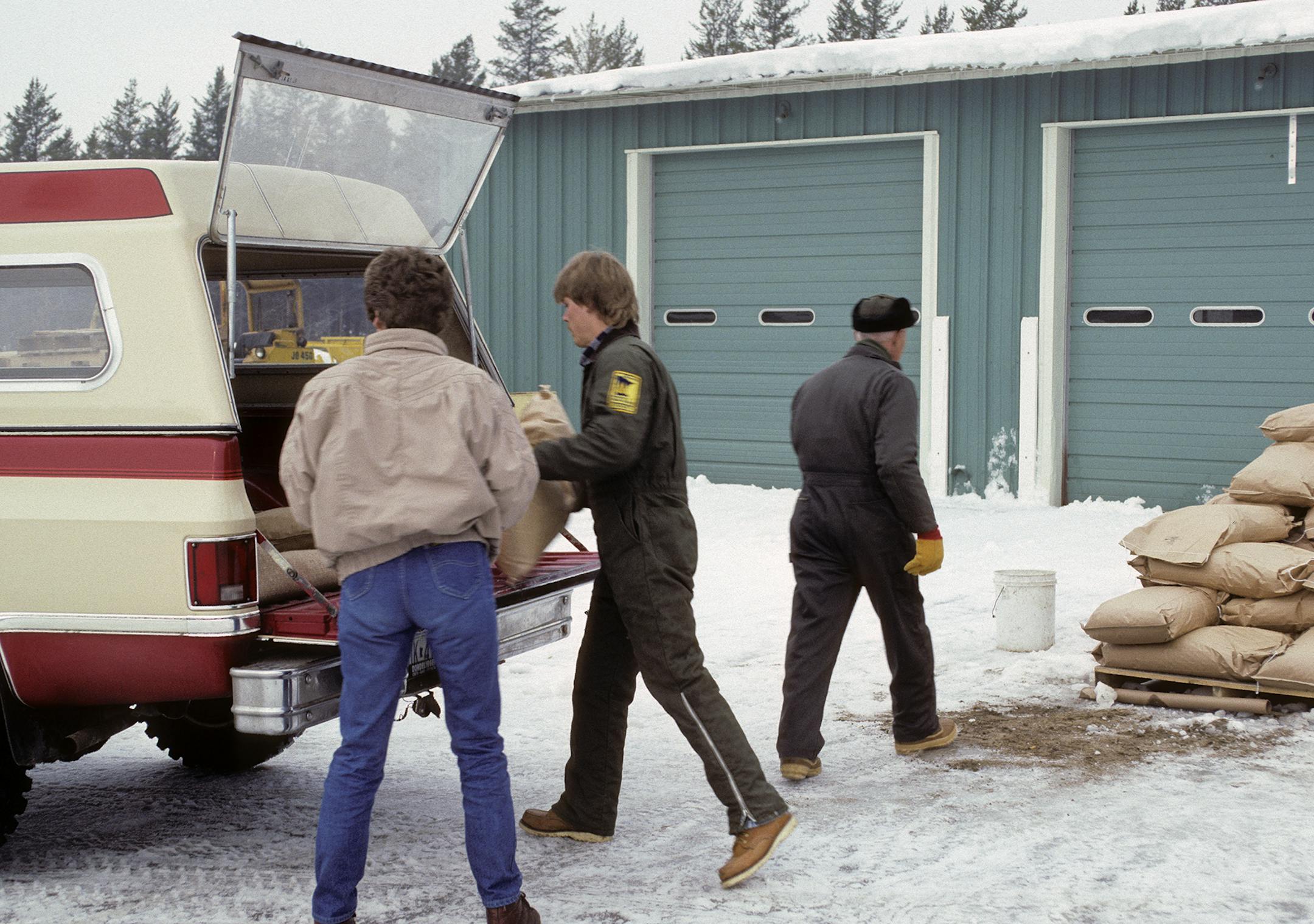 DNR personnel load deer pellets into pickup truck in 1989 as part of a emergency deer feeding program launched because of a severe winter.