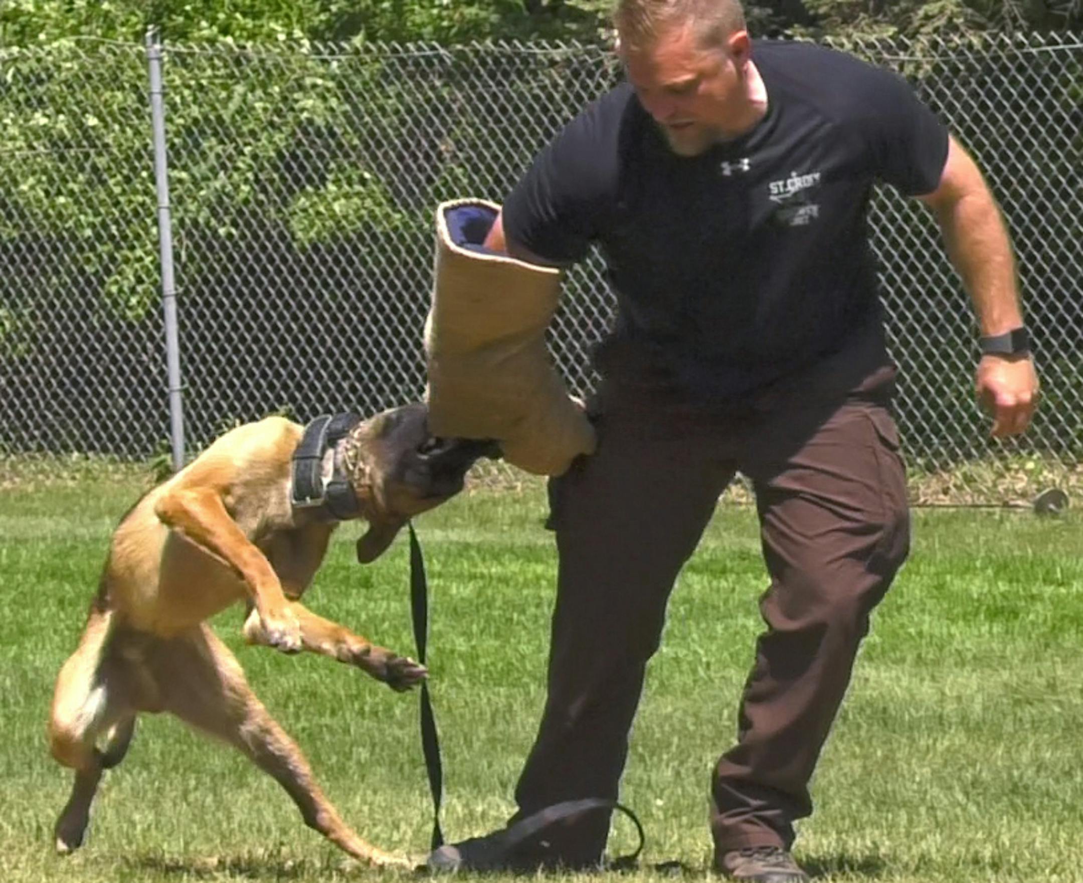 Seventeen police canines and their human partners graduated from St. Paul's K-9 training program. A program featuring obedience, agility and suspect apprehension was given in front of a crowd of dozens at the Timothy J. Jones Canine Training Facility in Maplewood on Thursday, May 24, 2018. ] Shari L. Gross &#x2022; shari.gross@startribune.com Seventeen police canines and their human partners graduated from St. Paul's K-9 training program. A program featuring obedience, agility and suspect appreh