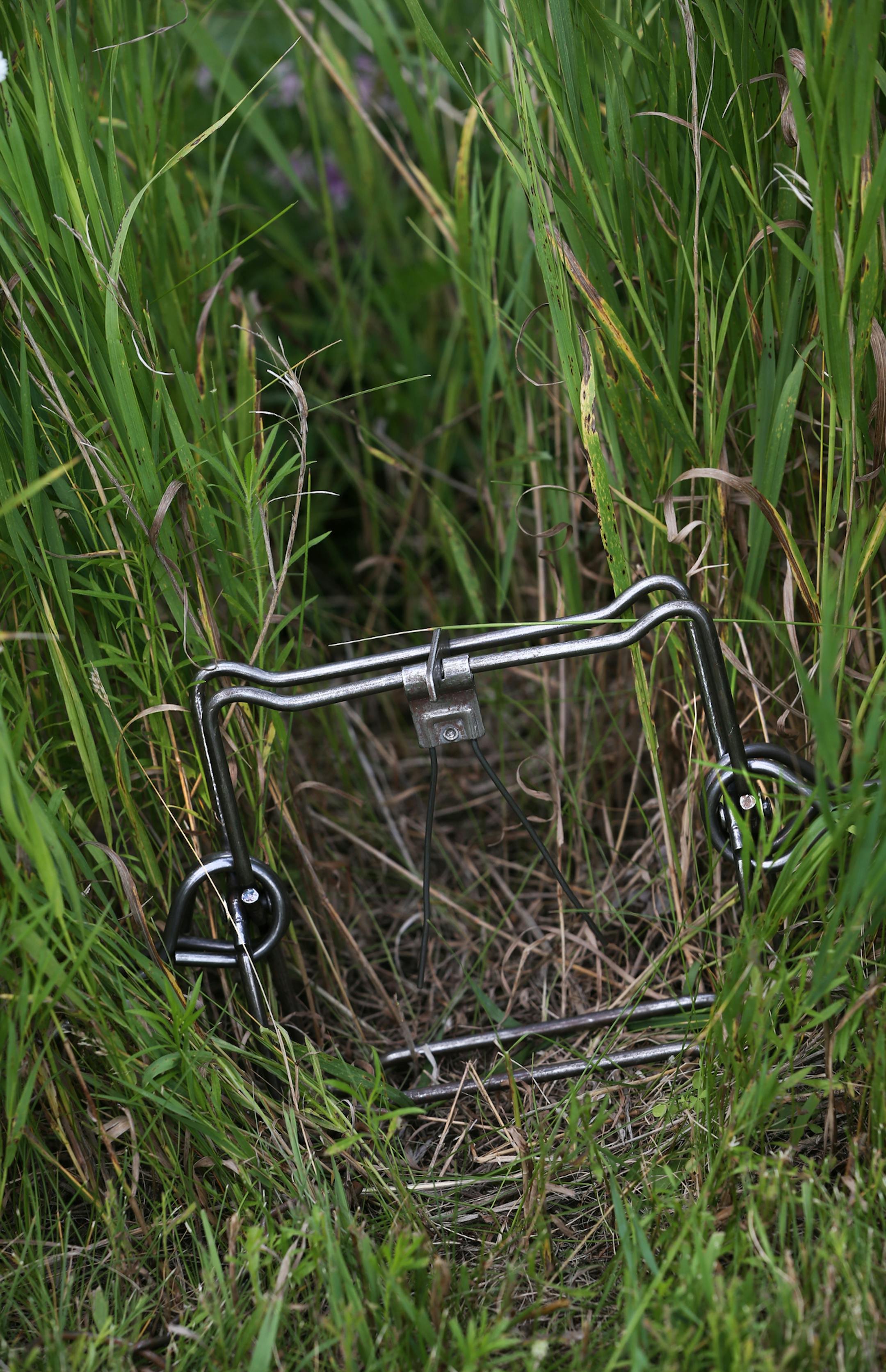 A connebear trap set-up in the tall grass. Turns out trapping is allowed on the state's new walk-in hunter access program, and Kevin Auslund, for one, isn't happy, saying hunting dogs are threatened by the policy.] Photogaphed on 7/10/14 Bruce Bisping/Star Tribune bbisping@startribune.com Kevin Auslund/source