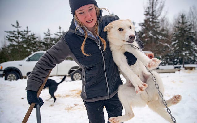Ashley Thaemert picked up Butters so she could clean the area around his doghouse at her home in Tower, Minn. on January 13, 2020.